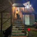 선흘재 | 제주도 감성 숙소 선흘재 흘룸 내 돈 내산 후기 여자 4명 단체 숙소 추천