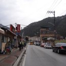 대머리민박 이미지