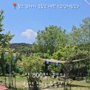 형제농장 2 네이버블로그
