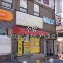 ㅈㄸㄸ원정대5 부산 용호동 맛집 수양 행복하게 혼빵간다