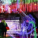 크리스마스 페스티벌 이미지