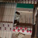 강과산이아름다운한옥펜션 이미지