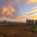 부동산랜드공인중개사사무소 이미지