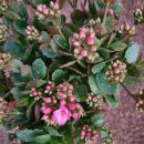 펜션이룸 이미지