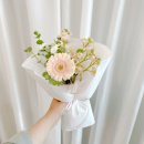 사림동133 이미지