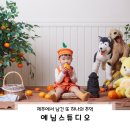추억의 술빵 만들기(B반) | 제주 셀프 스튜디오 [예님스튜디오] 제주도 가족사진 촬영 후기