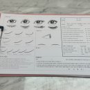 베스타뷰티 | 노원역 베스타뷰티 LED디자인연장 후기 자연스러운 속눈썹연장