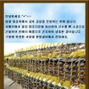 영광직판굴비 이미지