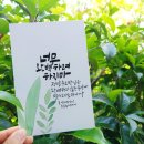 공간글꽃