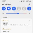 카린