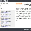 목동OK공인중개사사무소 이미지