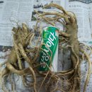 두목농장 이미지