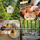 힐링&좋은일이가득한곳 | 합천 해인사 카페 리베볼, 깊은 숲속 힐링 가득한 공간 5월 방문 솔직후기