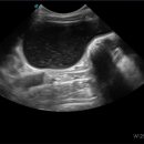 범서한방동물약국 이미지