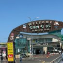 [제주도 우도 여행] 우도 입도 정보(배 시간, 가격) / 전기바이크(사이드카) 렌트 후기