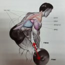 이루어짐 헬스 이미지