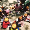 한울숲유치원 이미지