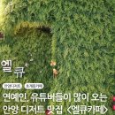 신원비젼타워 | [경기 안양] 연예인,유튜버가 많이 오는 안양 디저트 맛집 I 엘큐카페