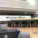 파이어씨드 이미지