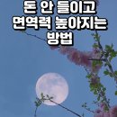 돈 안 들이고 면역력 높이는 방법 이미지