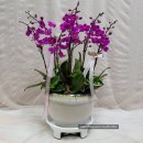 구지면 행정복지센터 이미지