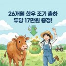 2026년 한우 사육방식개선 17만 원 지원금? 26개월 출하월령 단축 필수 가이드