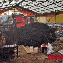 김제1농장 이미지