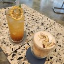 왕궁동물병원 이미지