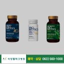 송도홀론석정