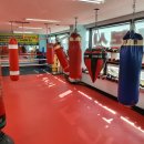 변교선대전복싱클럽 이미지