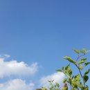 석항보건진료소 이미지