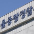 "투신하겠다"...아파트 옥상서 물건 던진 60대 구속 이미지