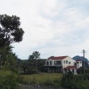 야자수펜션 이미지