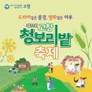 [코드엠] 고창청보리밭 축제 이미지