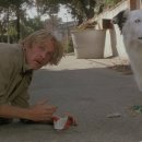 비버리 힐 이미지