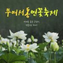 7월 21일(일) ♧아름다운 연꽃의 유혹 부여서동(궁남지)연꽃축제 야경투어(오후출발).♡23,000원.생수제공.37석리무진운행 이미지