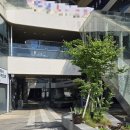 등골 오싹한 '유령도시' 됐다…텅텅 빈 세종시 상권 이미지