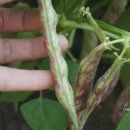 뽑기 좋은날 이미지