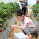 숲속에 안뜰 이미지