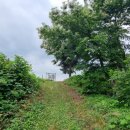 홍명호선생묘 이미지