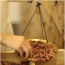 오렌지한의원 이미지