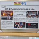 스티그마 | 허리 발바닥 통증 발 교정구 1년 6개월 착용 후 달라진 건강 후기 대전 알즈너 스티그마대리점