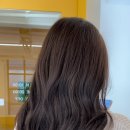 염색사랑미