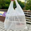 한양족발 식당 | 울산 족발 맛집 무거동 35년 전통 한양족발 포장 후기