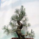 해송2로 이미지