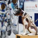 우주전망대 이미지