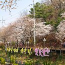 다본행정사 사무소 이미지