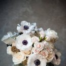 더스티(DUSTY) 이미지