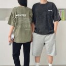 피그먼트