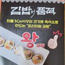 둔산중로-8 네이버블로그